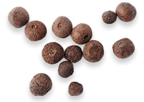 Is joint genesis really useful